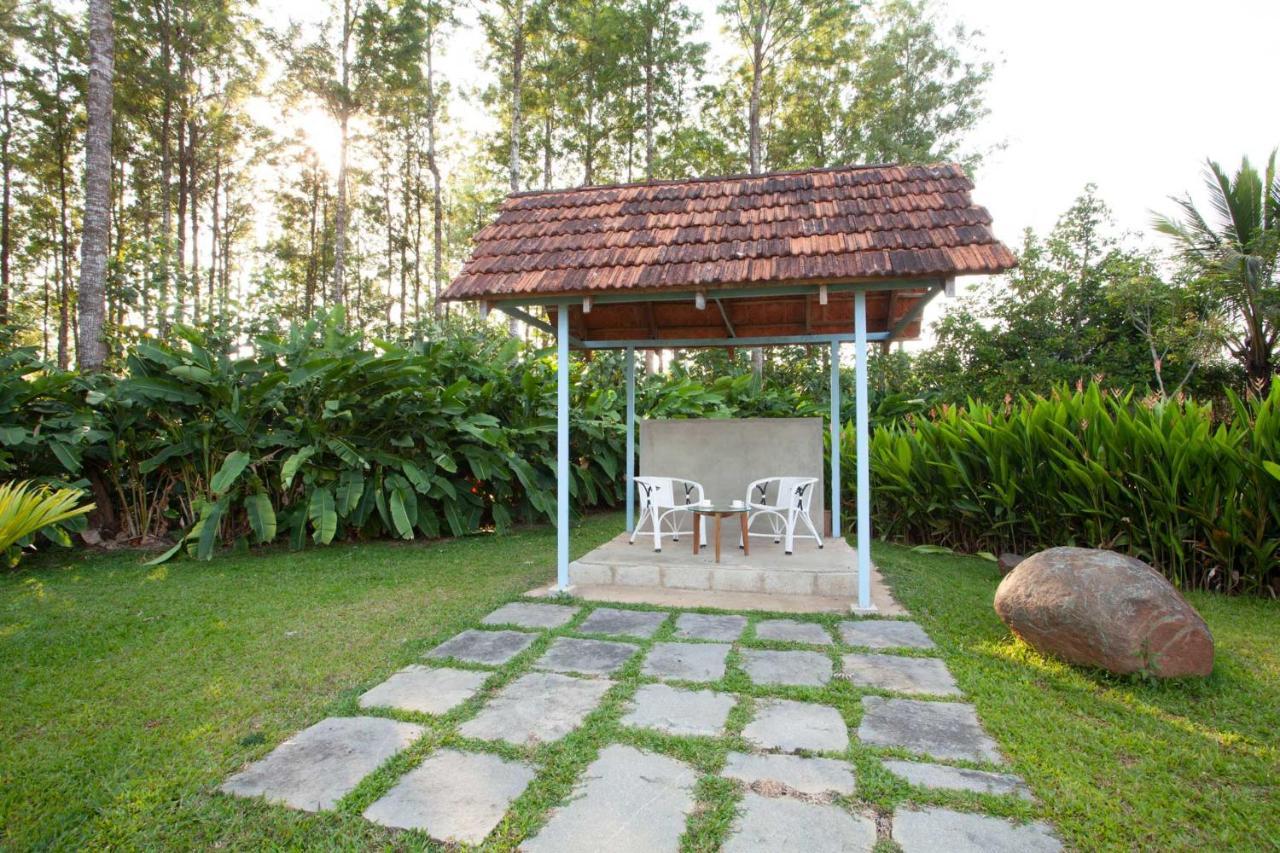 Stayvista At Cedar - Strelitzia 2Bhk With Breakfast And Jacuzzi จิกมากาลูร์ ภายนอก รูปภาพ