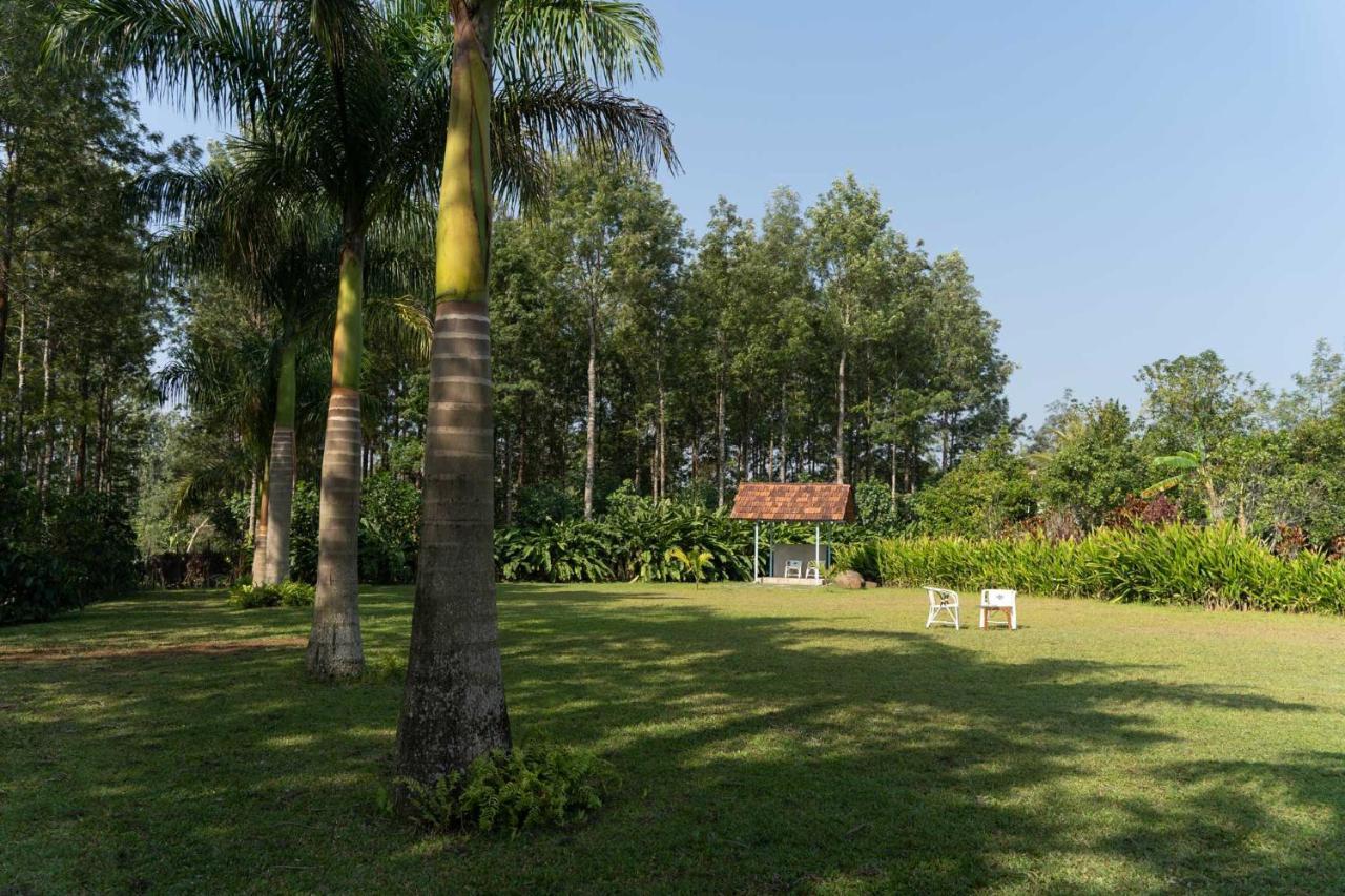 Stayvista At Cedar - Strelitzia 2Bhk With Breakfast And Jacuzzi จิกมากาลูร์ ภายนอก รูปภาพ